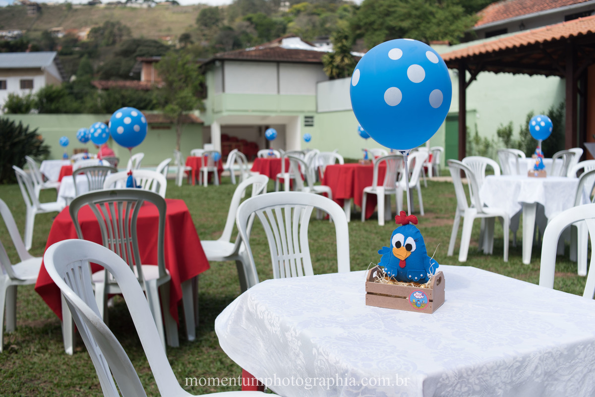 festa infantil galinha pintadinha petropolis rj momentum photographia