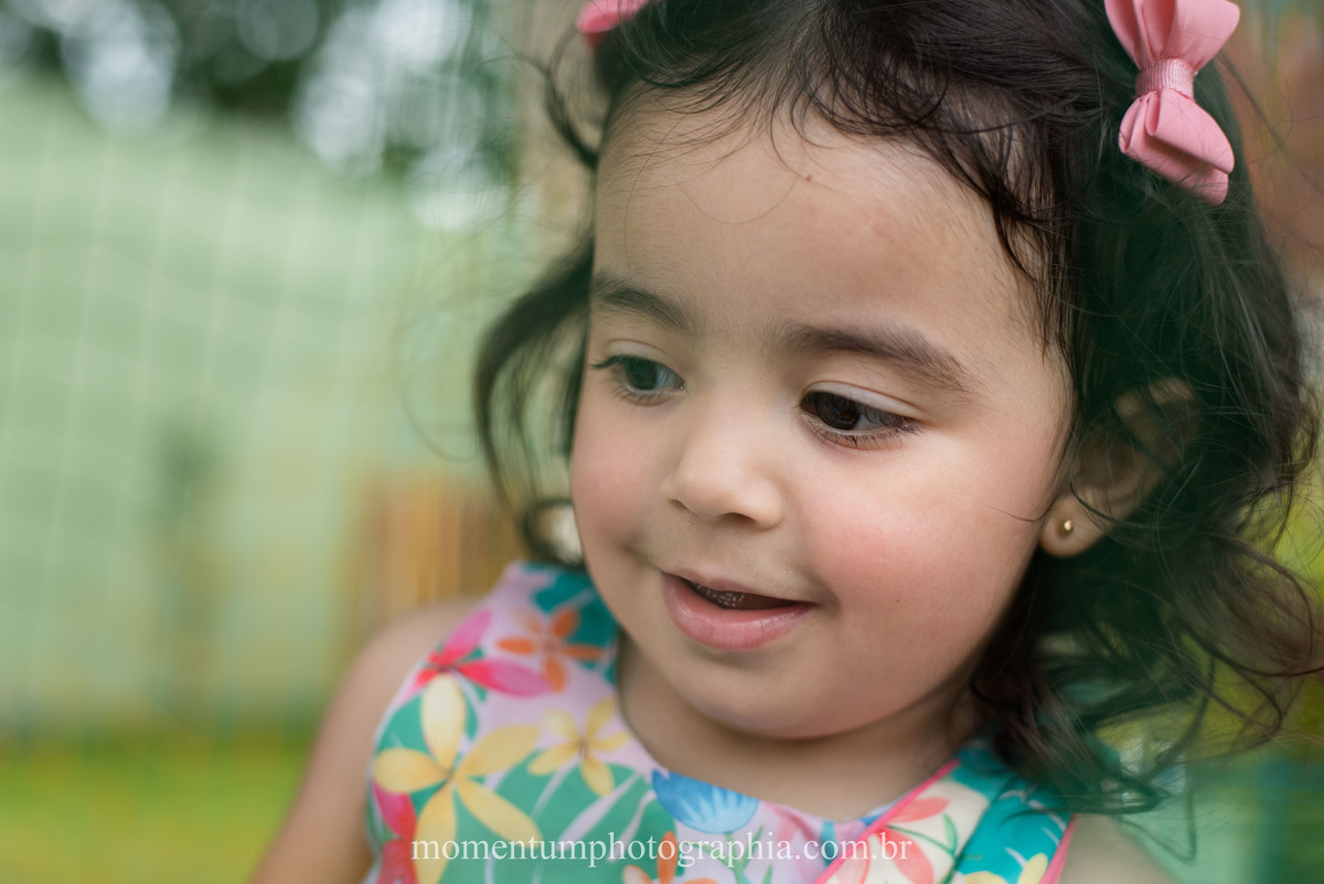 festa infantil galinha pintadinha petropolis rj momentum photographia