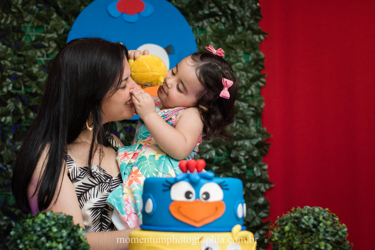festa infantil galinha pintadinha petropolis rj momentum photographia