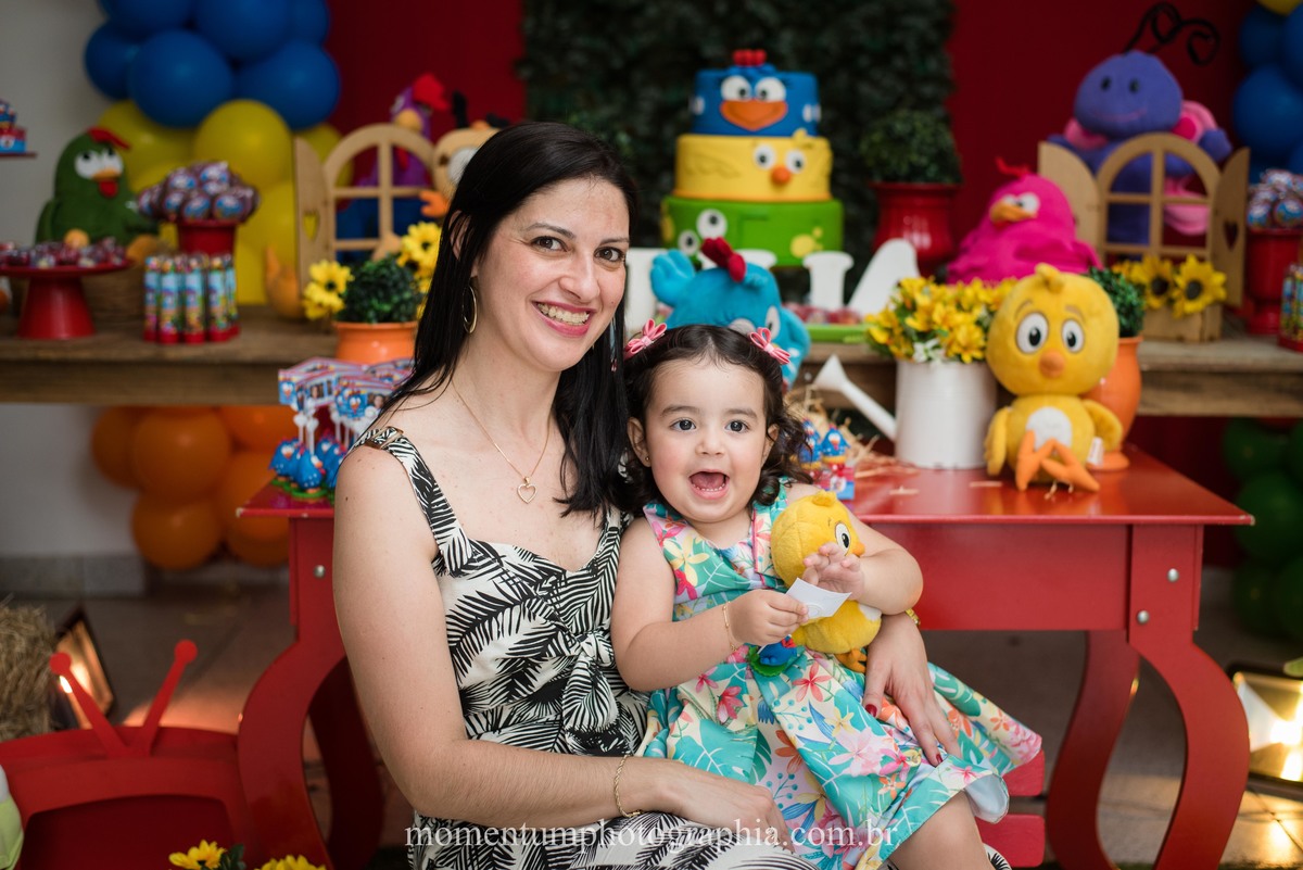 festa infantil galinha pintadinha petropolis rj momentum photographia