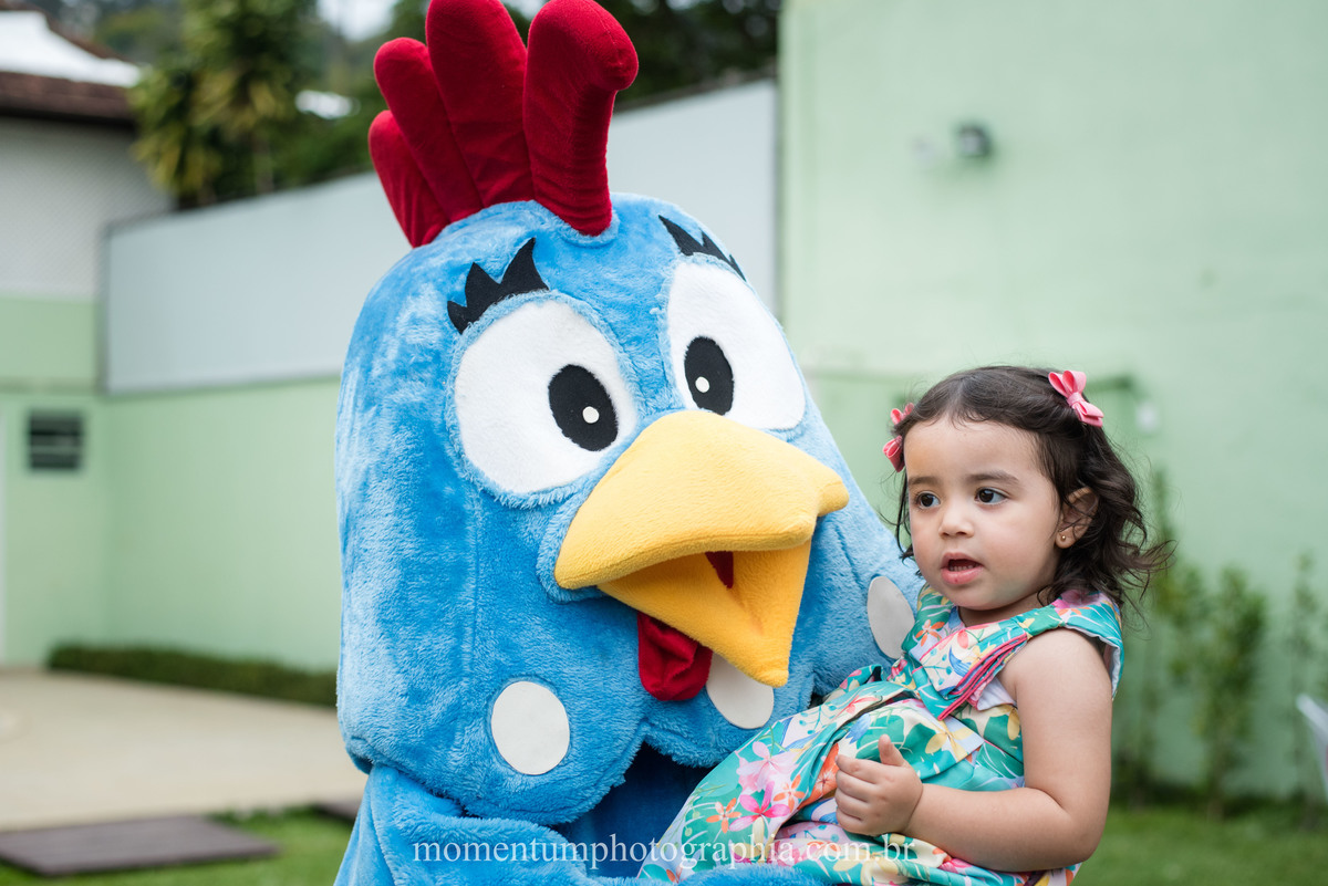 festa infantil galinha pintadinha petropolis rj momentum photographia