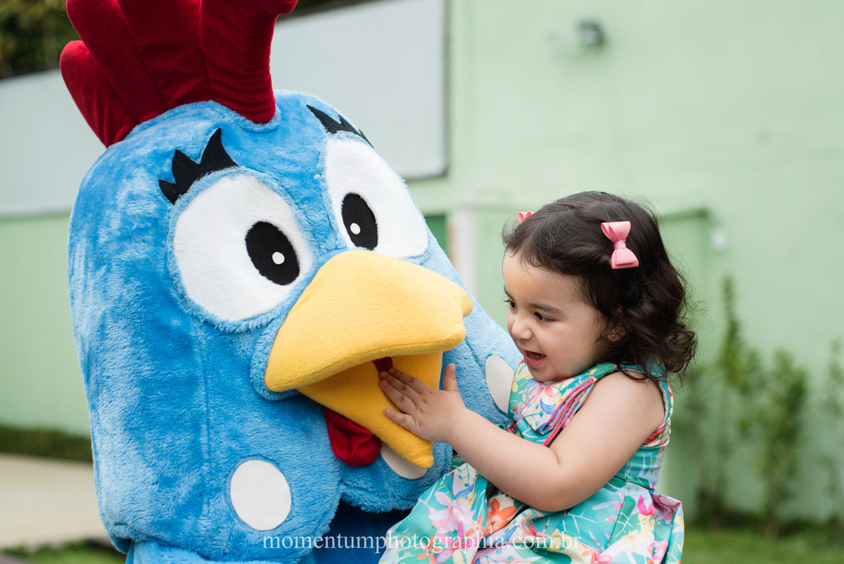 festa infantil galinha pintadinha petropolis rj momentum photographia