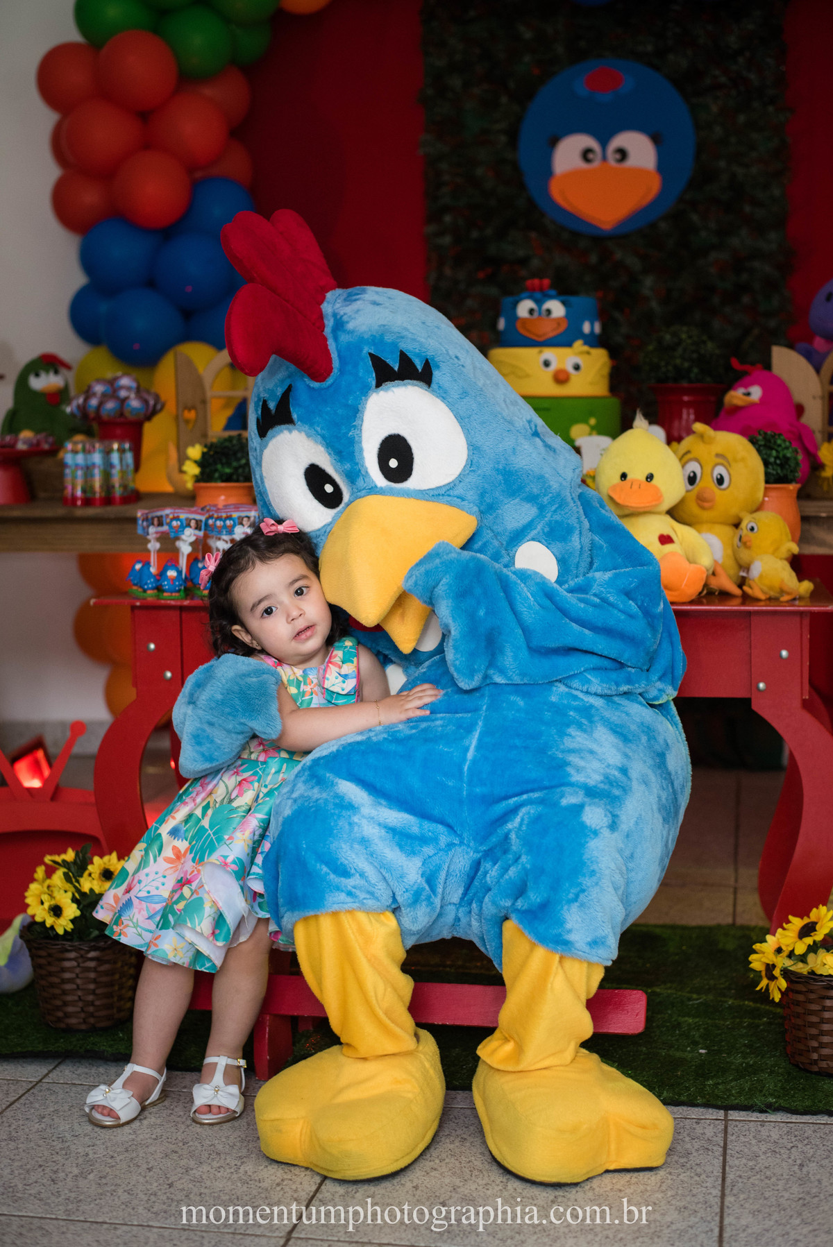 festa infantil galinha pintadinha petropolis rj momentum photographia