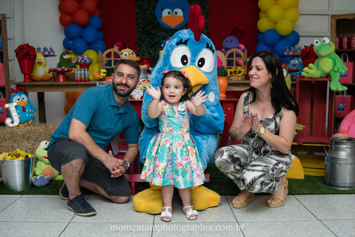 festa infantil galinha pintadinha petropolis rj momentum photographia