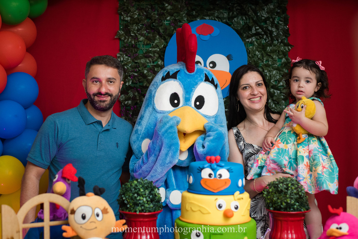 festa infantil galinha pintadinha petropolis rj momentum photographia