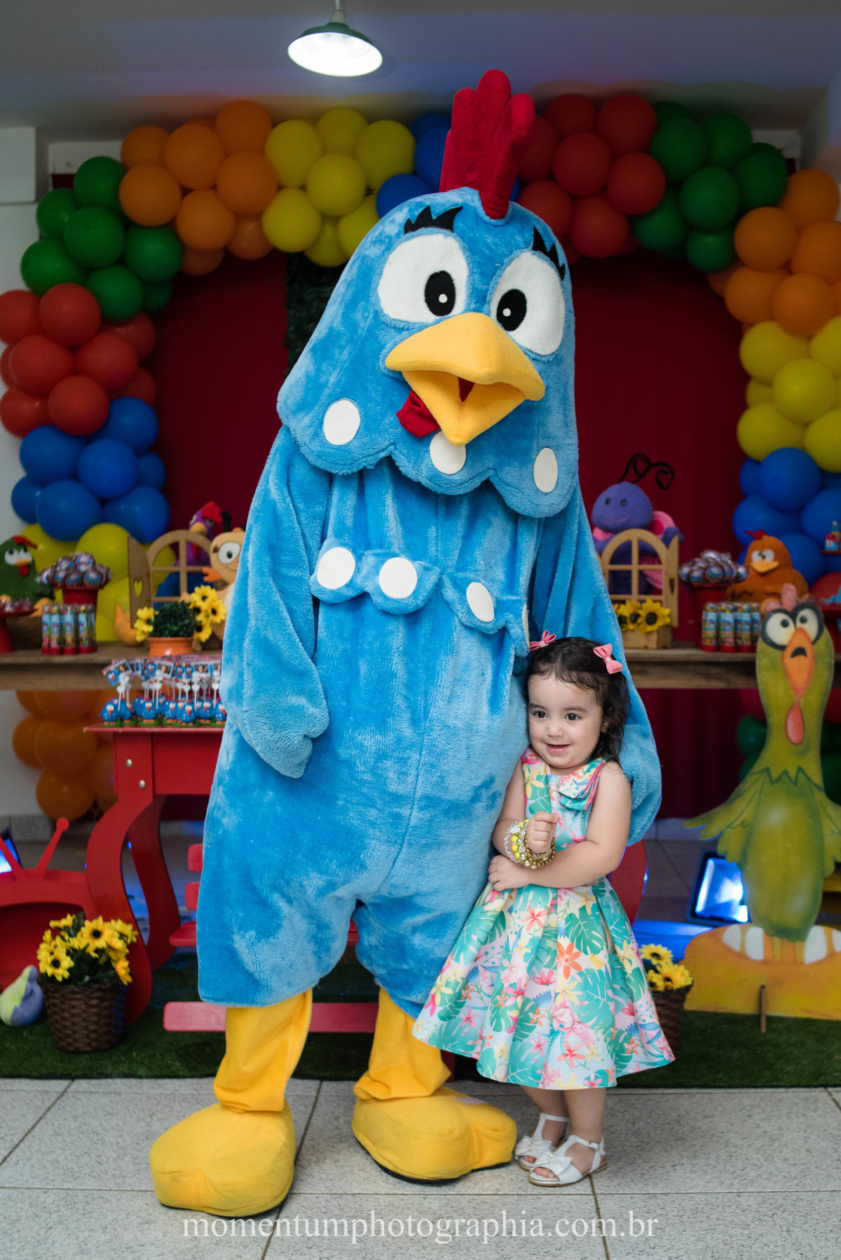 festa infantil galinha pintadinha petropolis rj momentum photographia