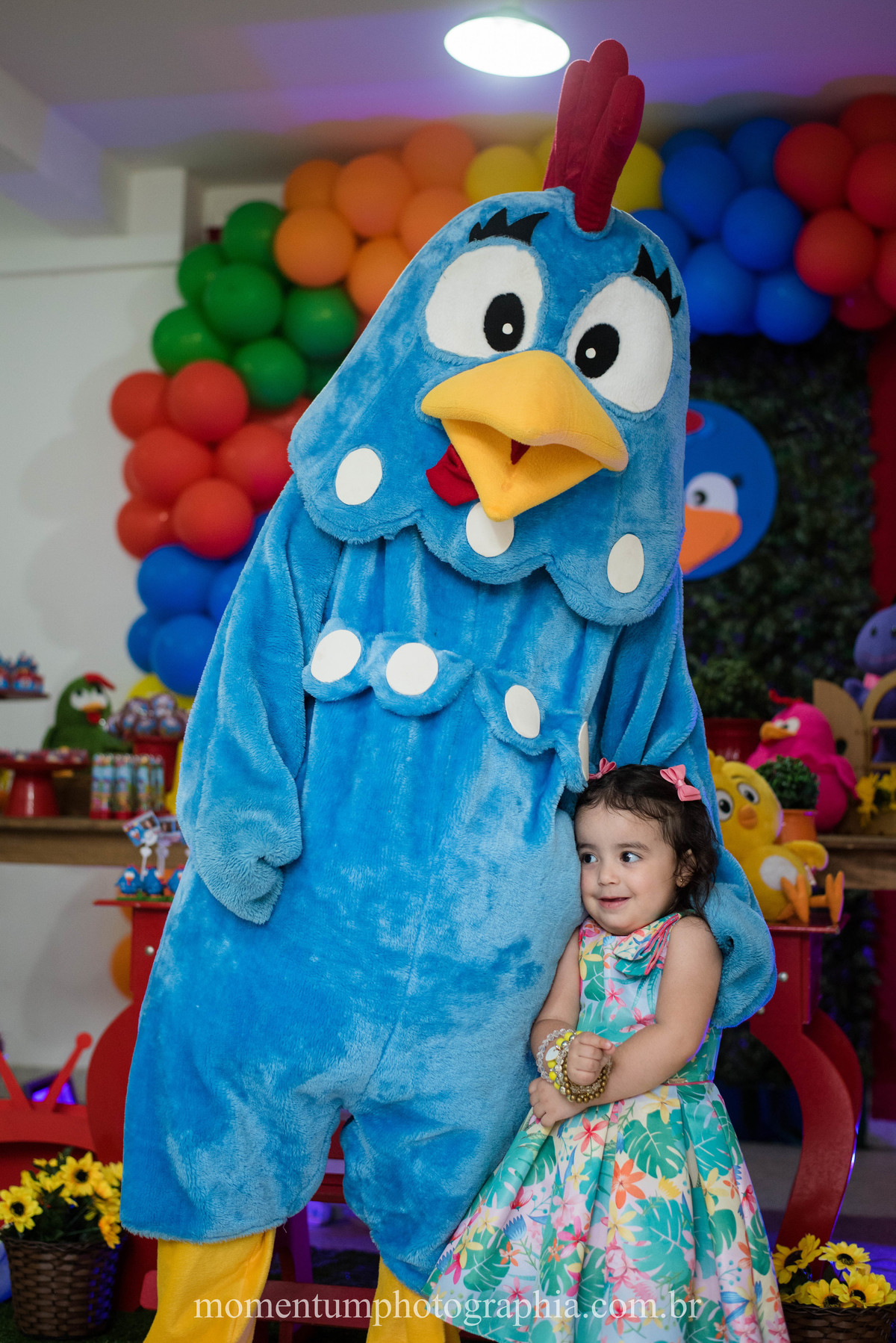 festa infantil galinha pintadinha petropolis rj momentum photographia