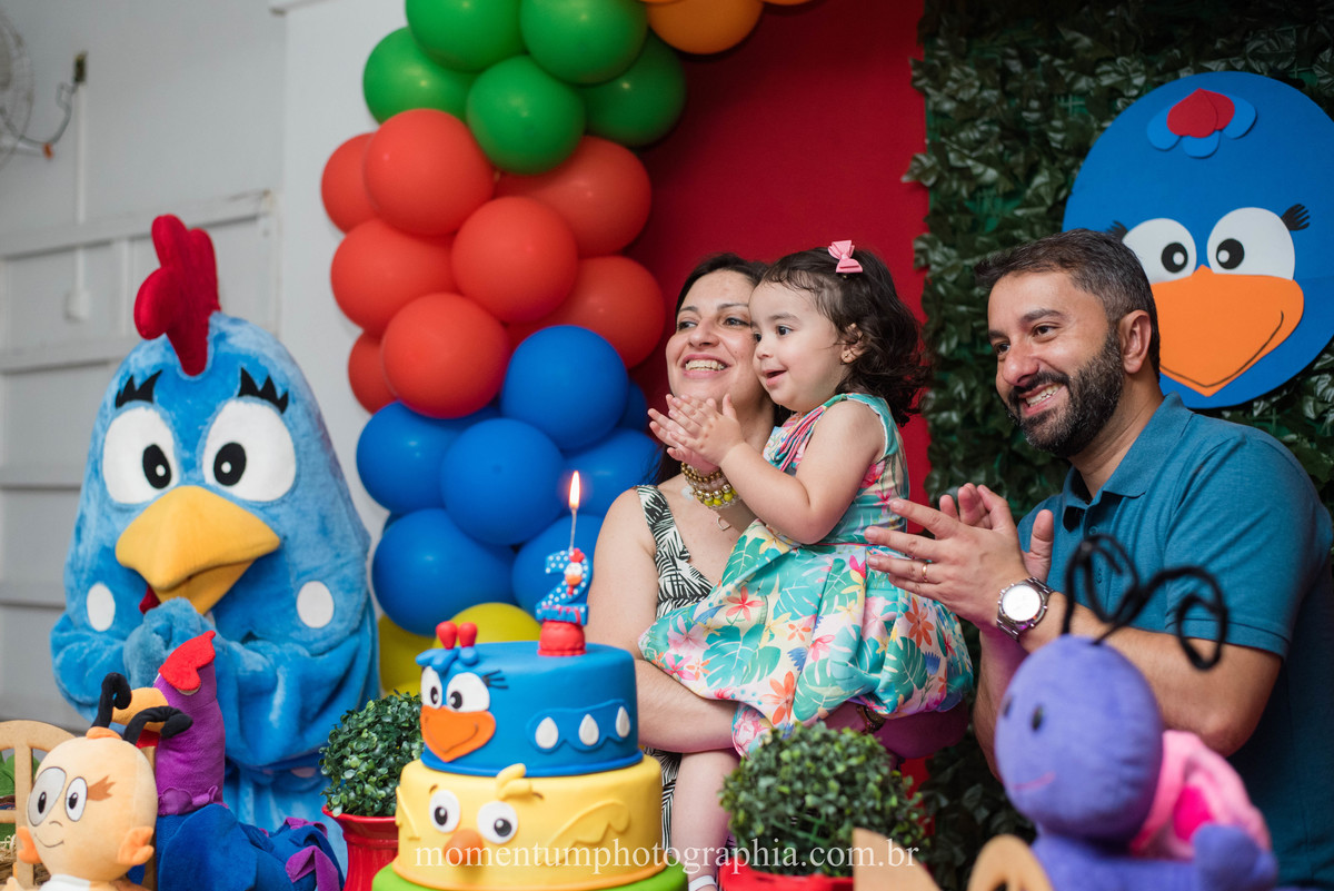 festa infantil galinha pintadinha petropolis rj momentum photographia