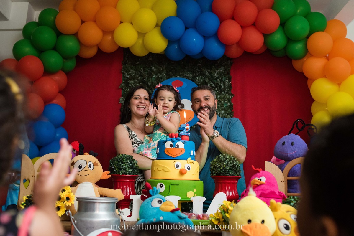 festa infantil galinha pintadinha petropolis rj momentum photographia