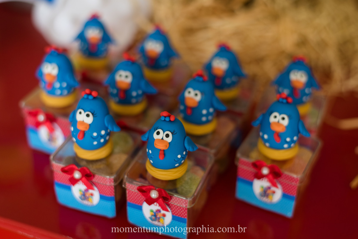 festa infantil galinha pintadinha petropolis rj momentum photographia