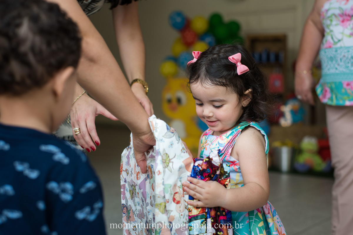 festa infantil galinha pintadinha petropolis rj momentum photographia