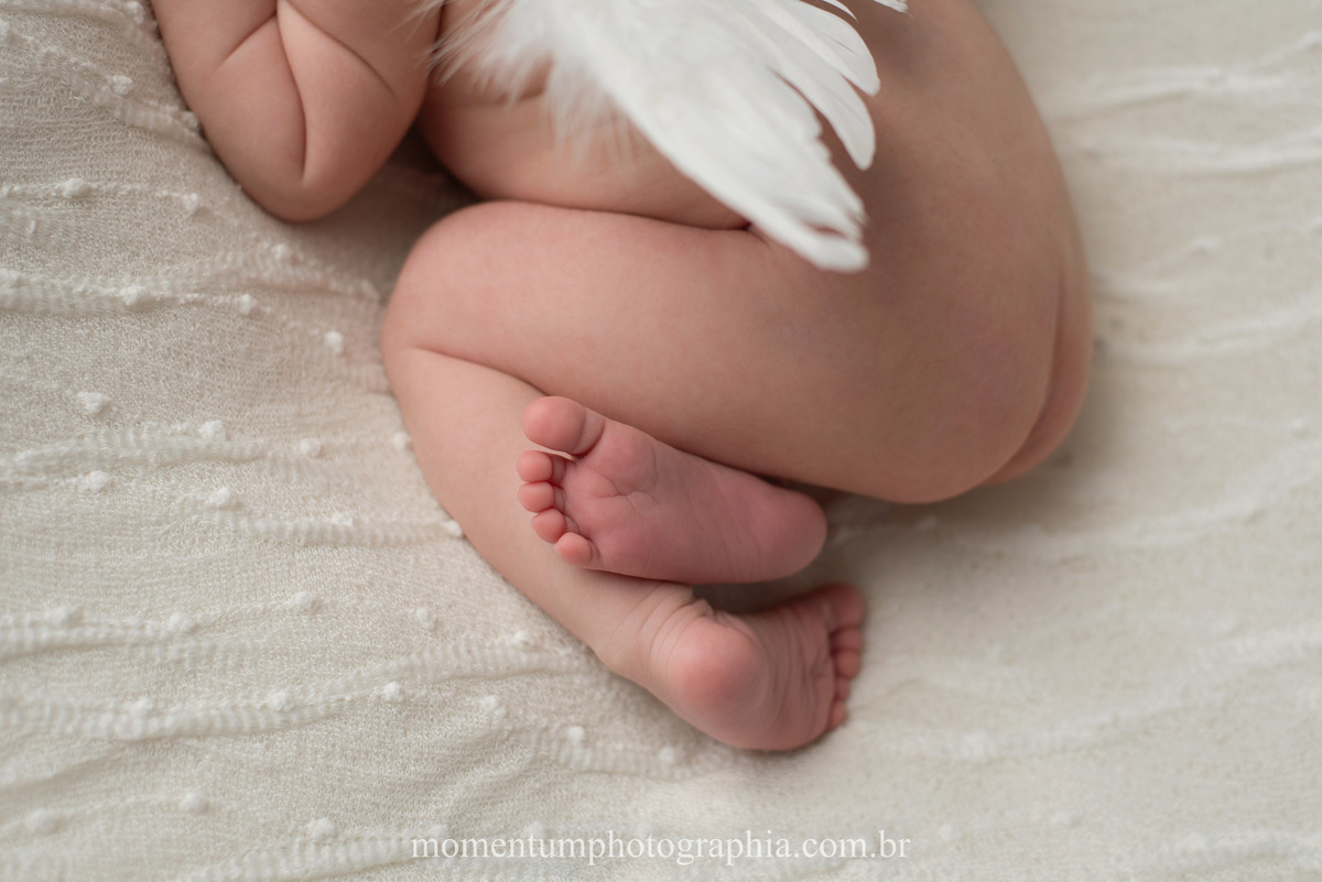 Ensaio newborn petropolis menina estudio momentum photographia newborn fotos