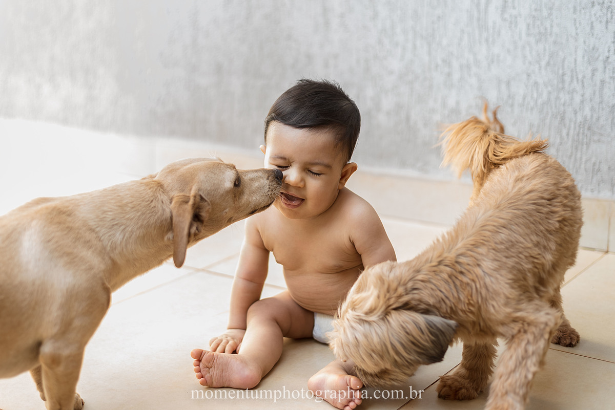 ensaiodefamilia, lifestyle, ensaio em casa, home sweet home, family portraits, rio verde, goias, momentum photographia