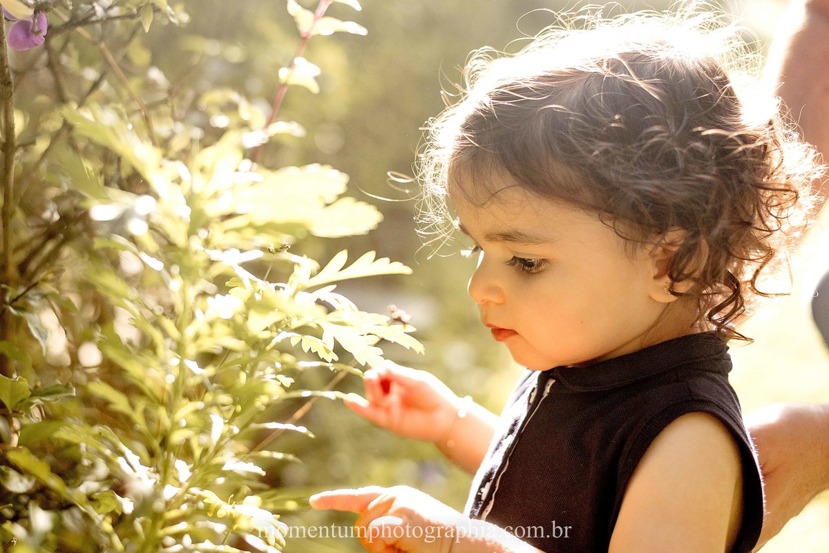 ensaio de família, ensaio em petrópolis, estúdio em Petrópolis, momentum photographia, fotos de família em petrópolis, ensaio infantil em petrópolis, quitandinha petrópolis, 