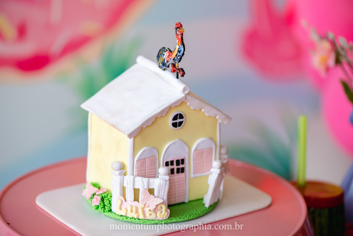 poo party, festa infantil rio verde, fotos de festa infantil, fotos em casa, festa em casa, fotografia rio verde, goiás, momentum photographia