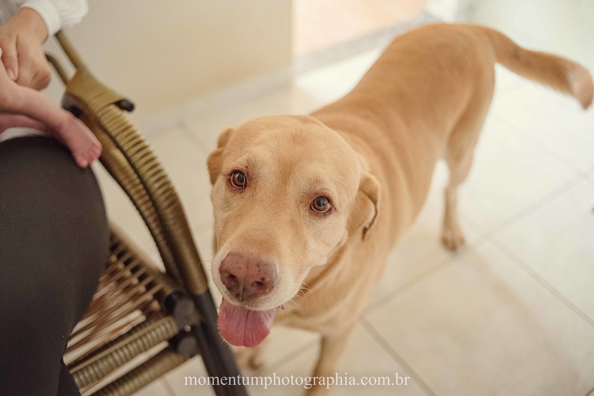 foto momentum photographia rio verde go ensaio lifestyle casa recem nascido bebe maternidade gestante