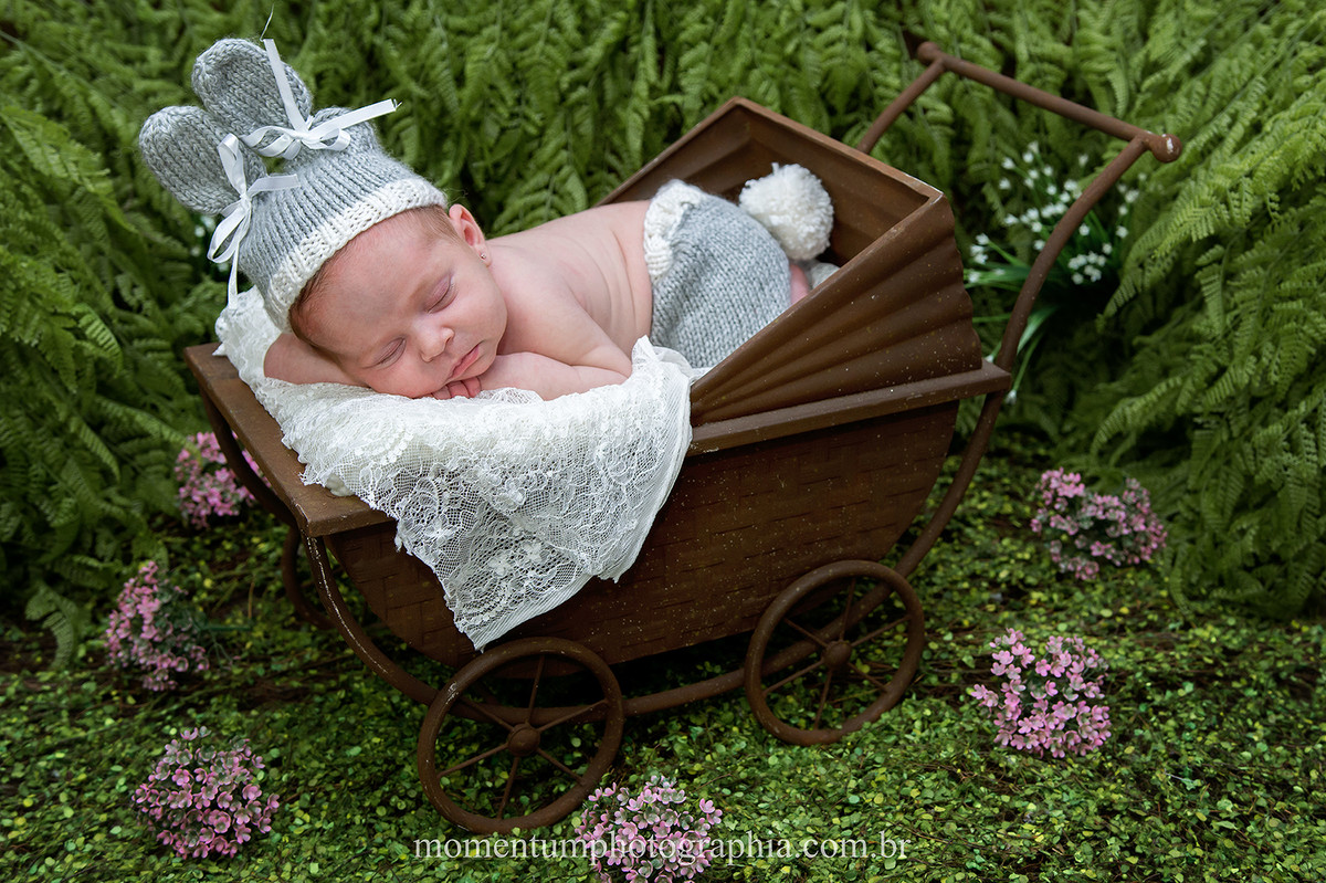 foto tirada por momentum photographia newborn estudio menina petropolis rj
