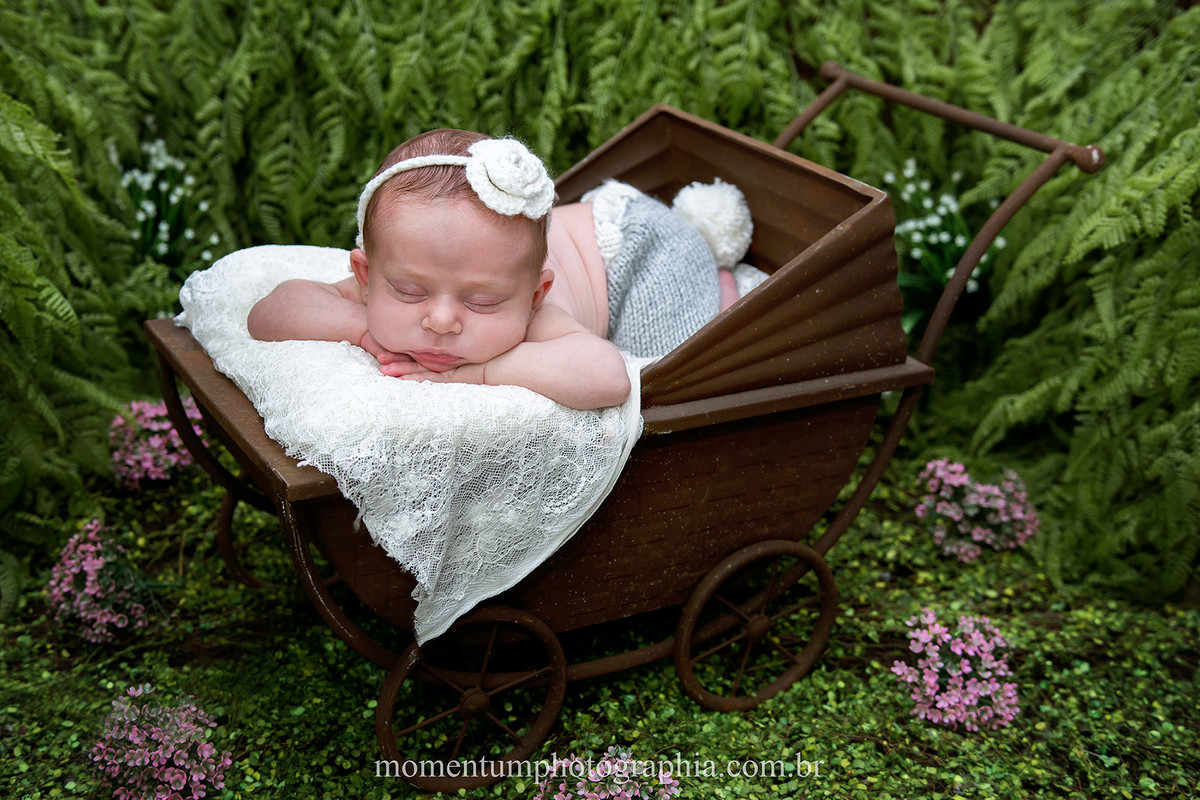 foto tirada por momentum photographia newborn estudio menina petropolis rj