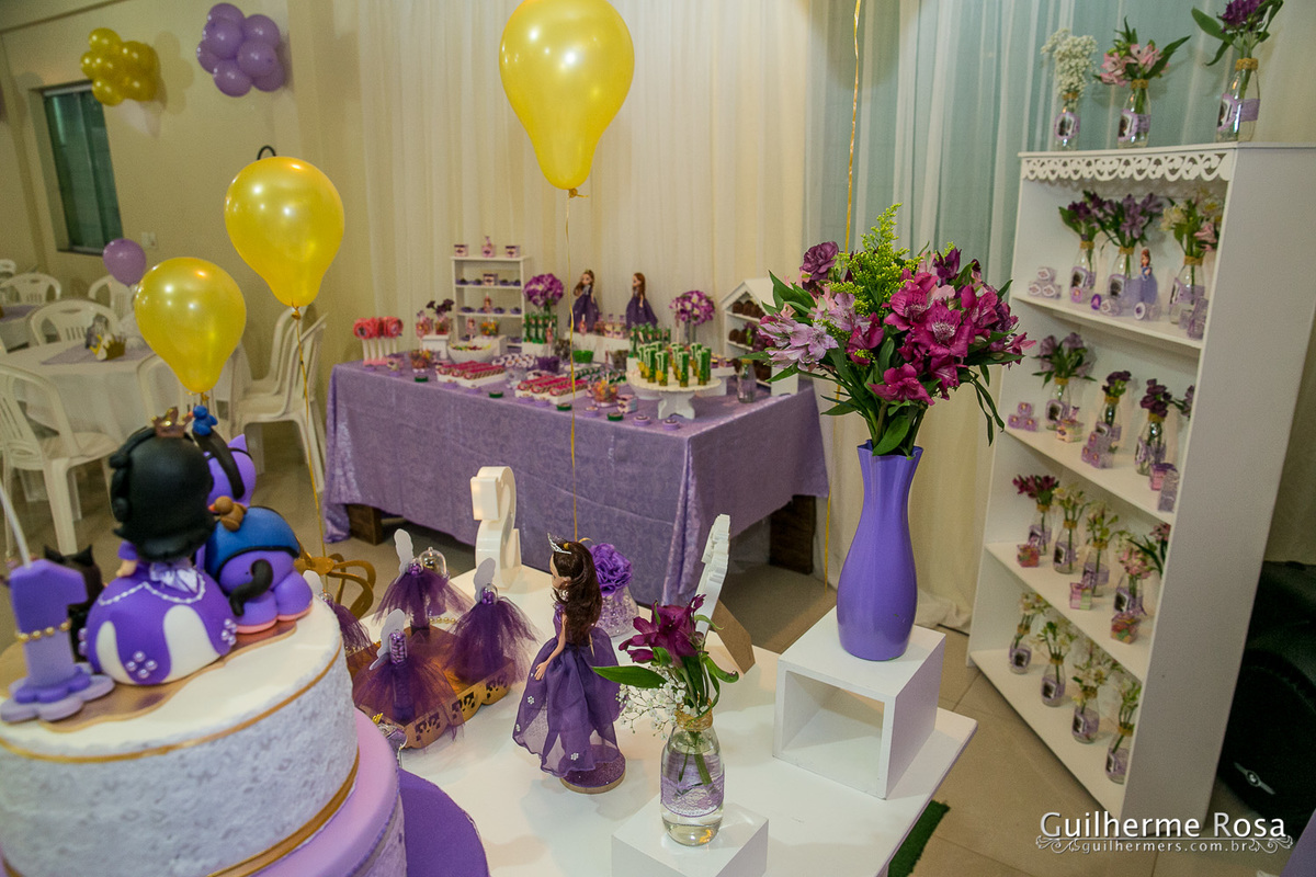 melhor preço infantil - 1º aninho da Sofia - guilhermers.com.br