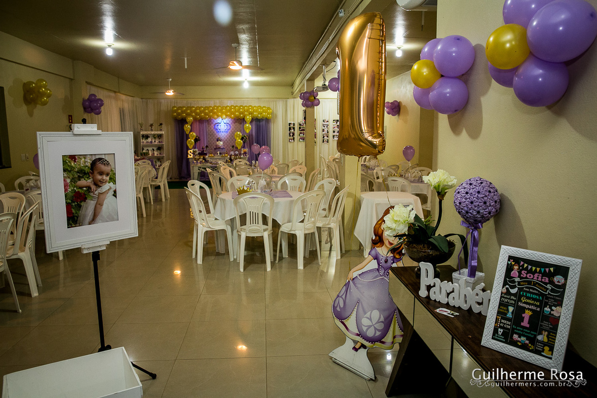 melhor preço infantil - 1º aninho da Sofia - guilhermers.com.br