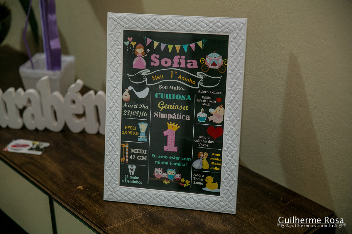 melhor preço infantil - 1º aninho da Sofia - guilhermers.com.br