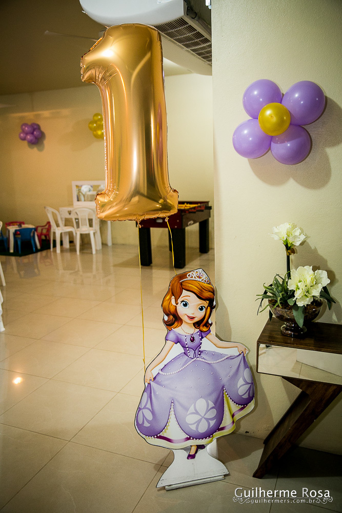 melhor preço infantil - 1º aninho da Sofia - guilhermers.com.br
