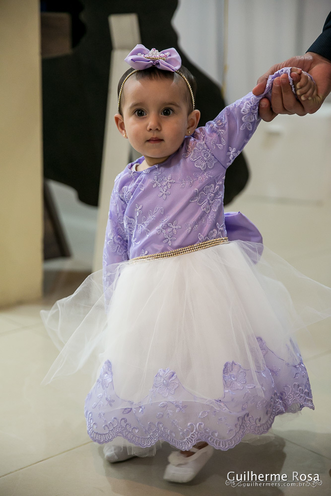 melhor preço infantil - 1º aninho da Sofia - guilhermers.com.br