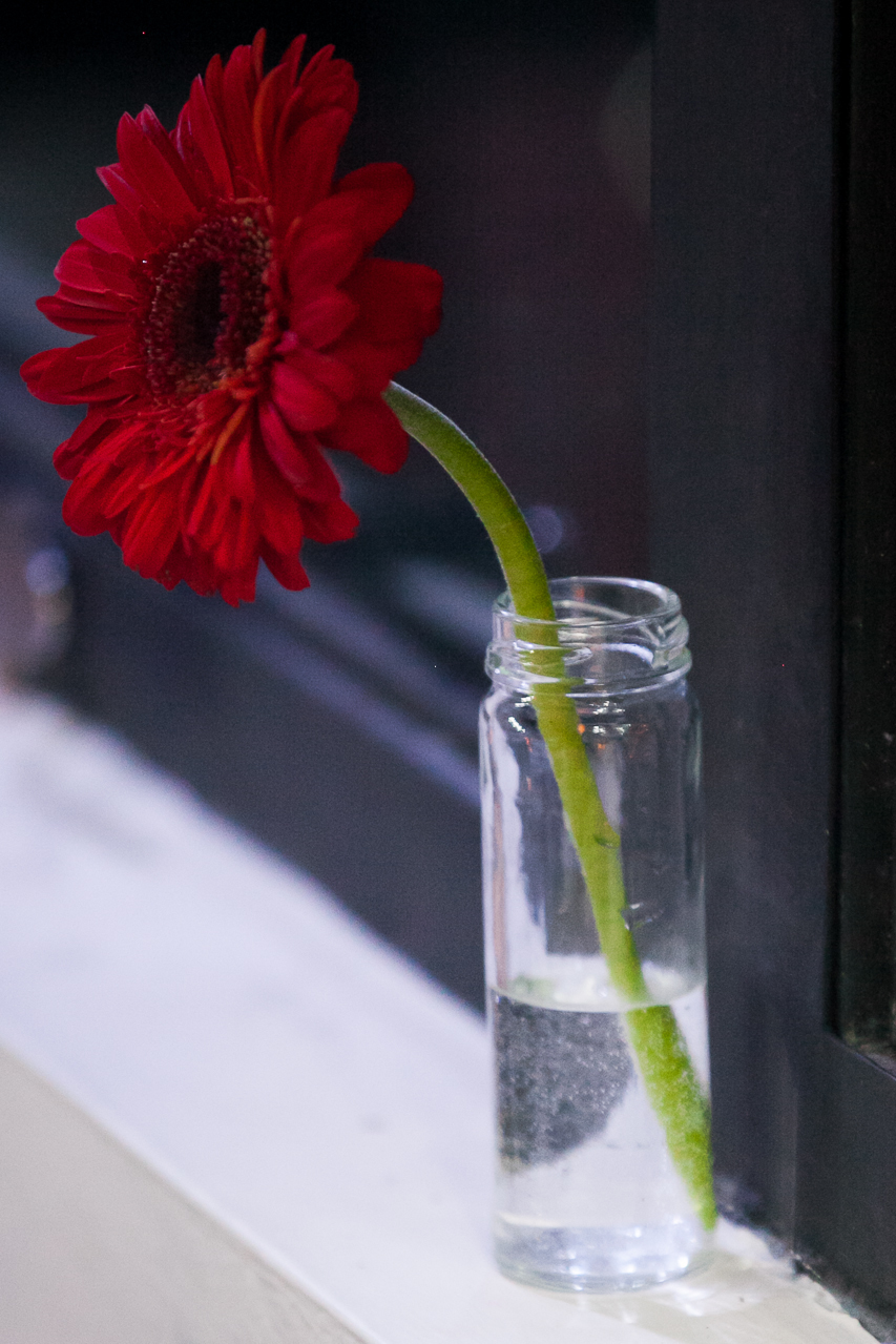 15 anos da @Stephanie Pieri Kolbe no AABB  Salão Guarujá,  cerimonialistas  Andréia Pieri e Marlise Kvietinski , decoradoras Graça Cunha e Aura Costa nunes, Dj Alehandro Suarez,  vestido da Brasil Pitanga.

Com Mãe @Adriane Pieri e tia dinda @Andréia Pier