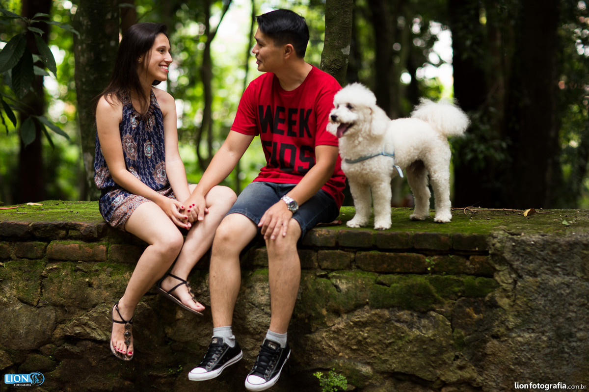 prewedding casamento dog pet são roque brasital lion fotografia ensaio sessão de fotos book esession casal noiva noivo natureza poodle cão pré-casamento