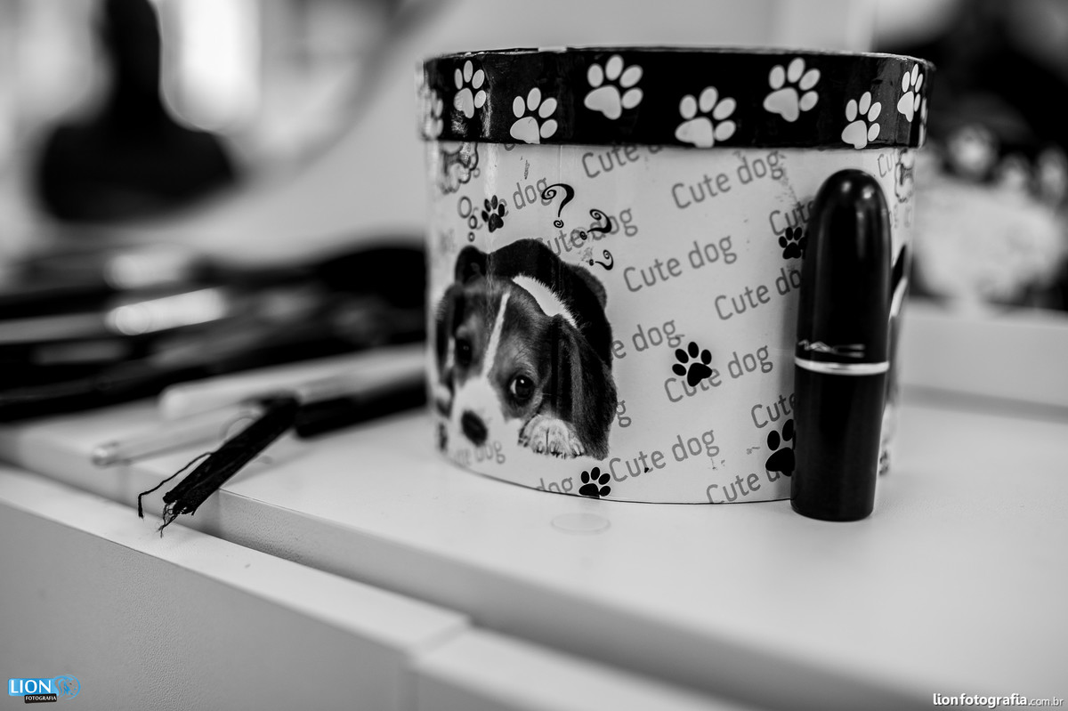 casamento são roque lion fotografia bride noiva noivo wedding makingof tia lina matriz igreja fotografo casal banda harmonia eduardo oliveira dj vinho mairinque