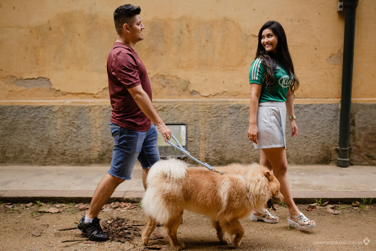 brasital cão cachorro pet dog show show chow chow xou xou labrador são roque estrada do vinho sessão de fotos casamento lion fotografia