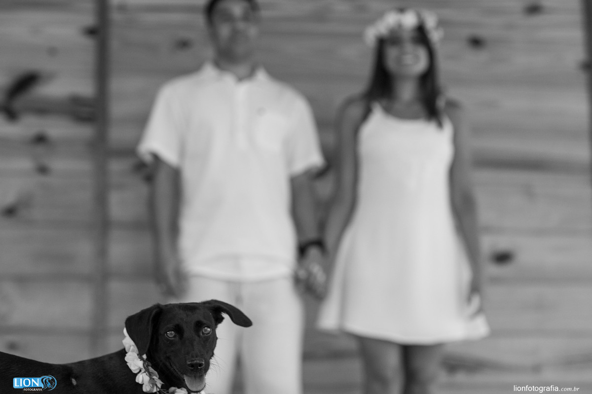 pré-wedding casal ensaio fotografo lion fotografia ibiuna cachorro dog pet