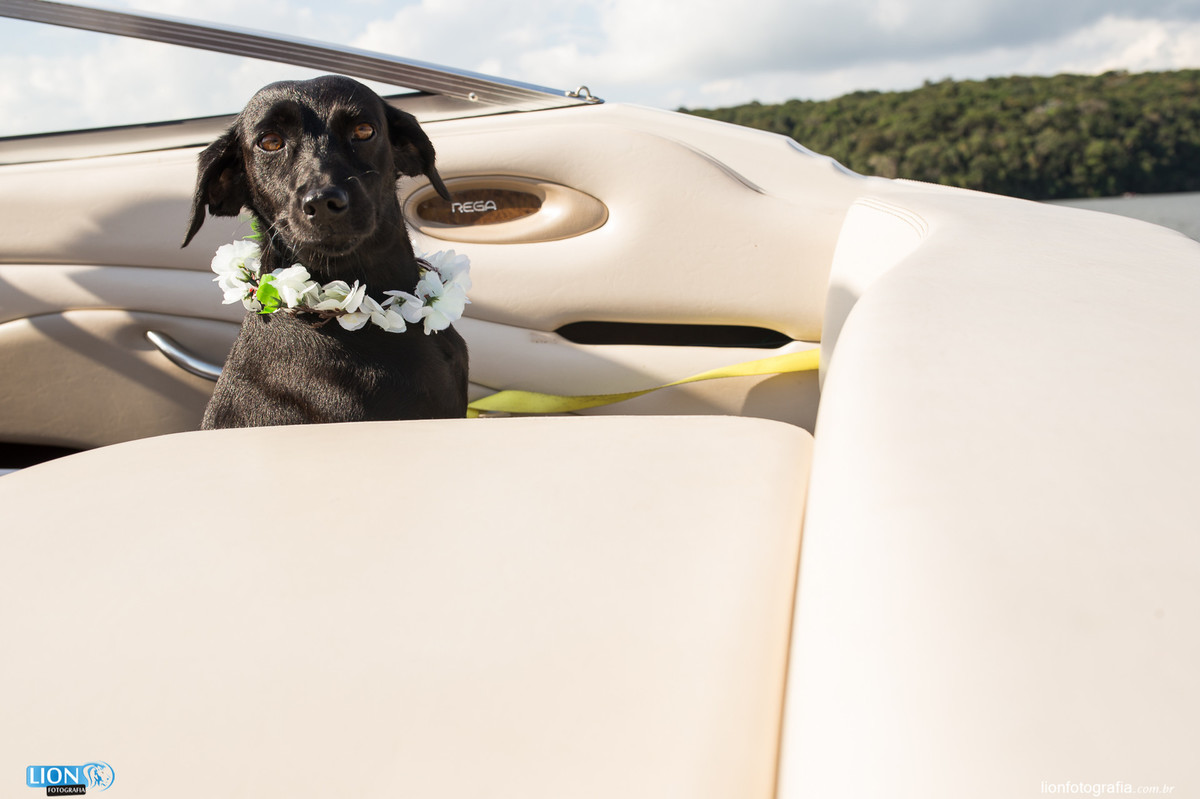 pré-wedding casal ensaio fotografo lion fotografia ibiuna cachorro represa barco lancha iate clube veleiros são roque