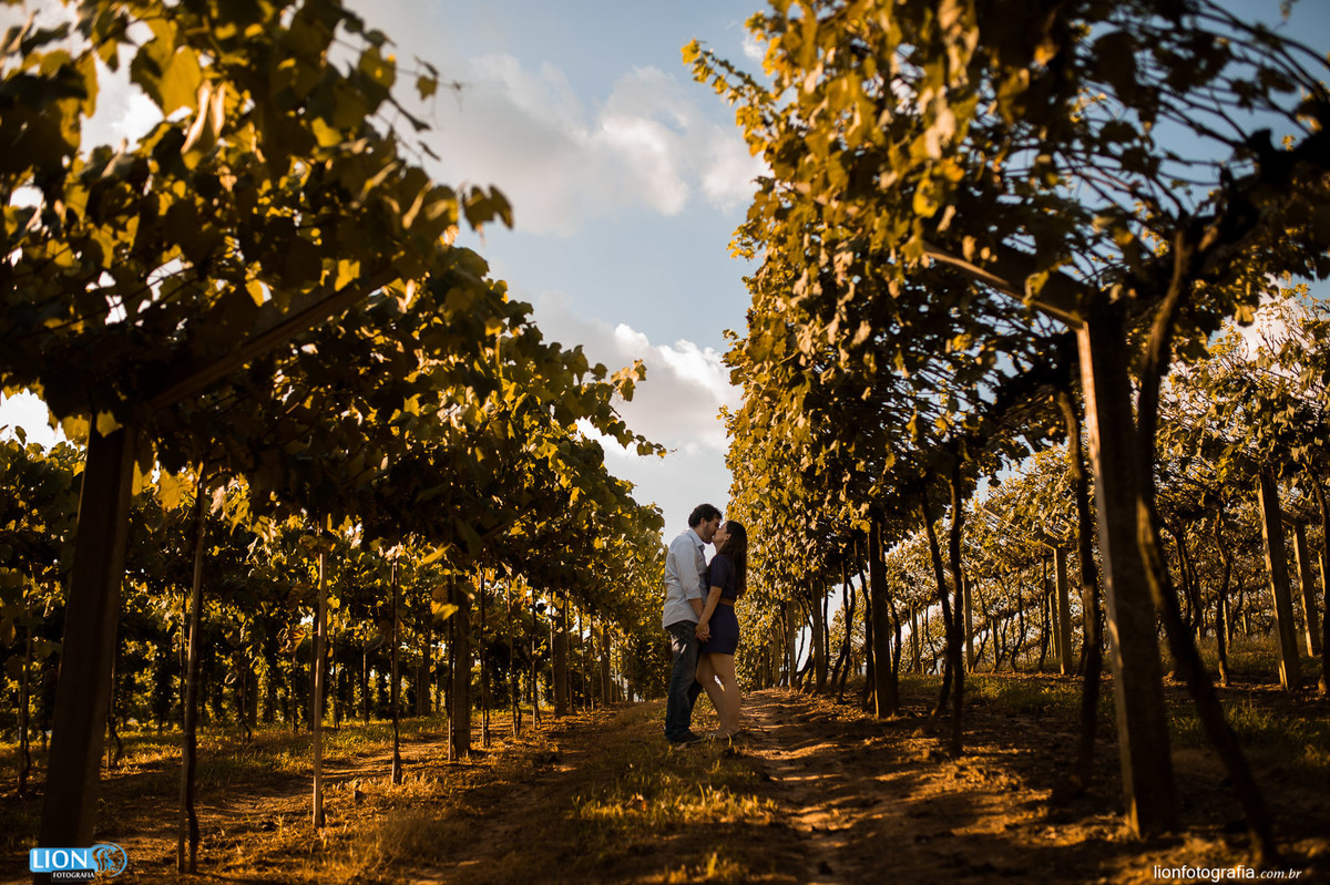 goes, ensaio de casal, lion fotografia, fotografo, são roque, vinicula, tradição. interior, fotos no campo