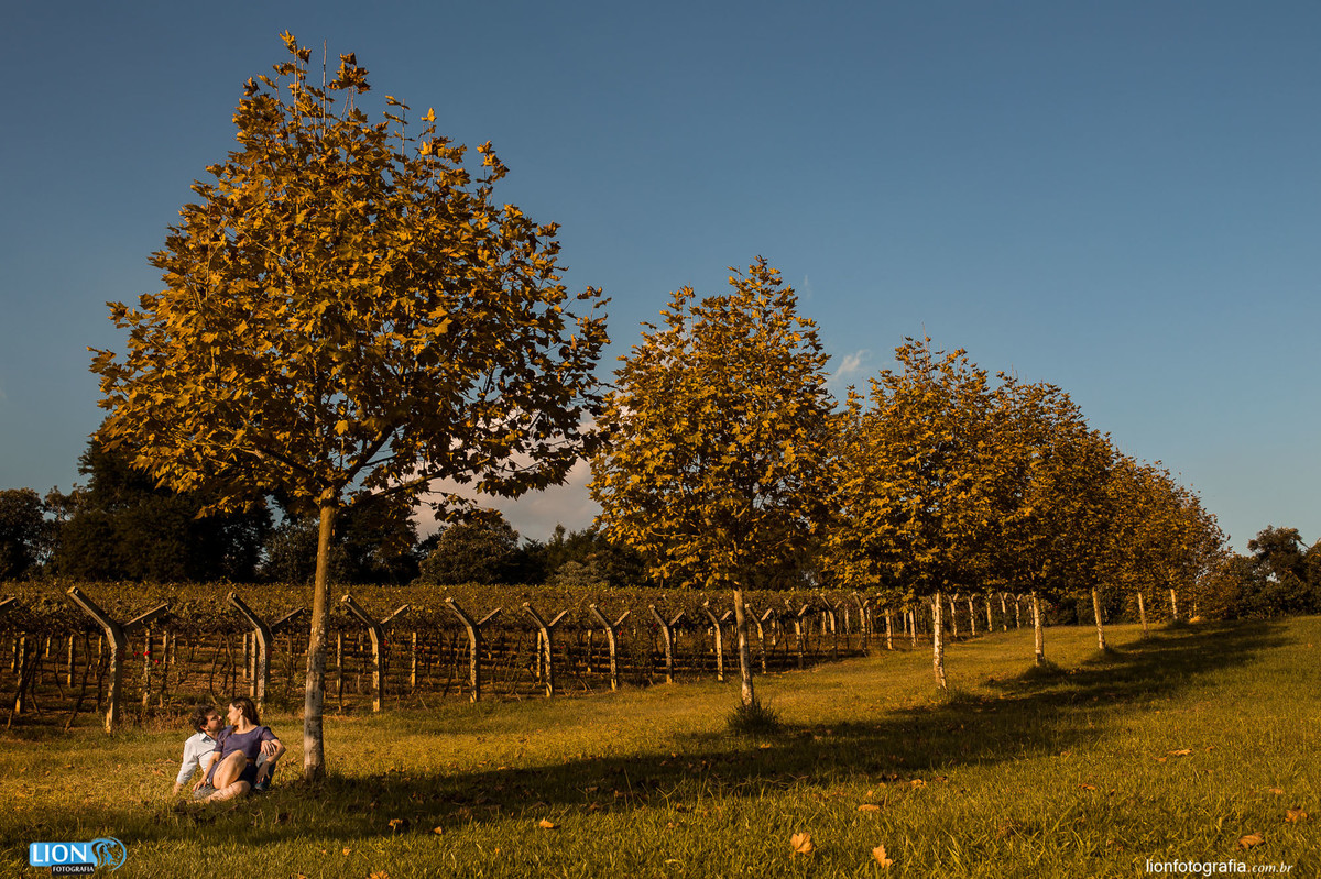 ensaio de casal, lion fotografia, fotografo, são roque, vinicula, tradição. interior, fotos no campo