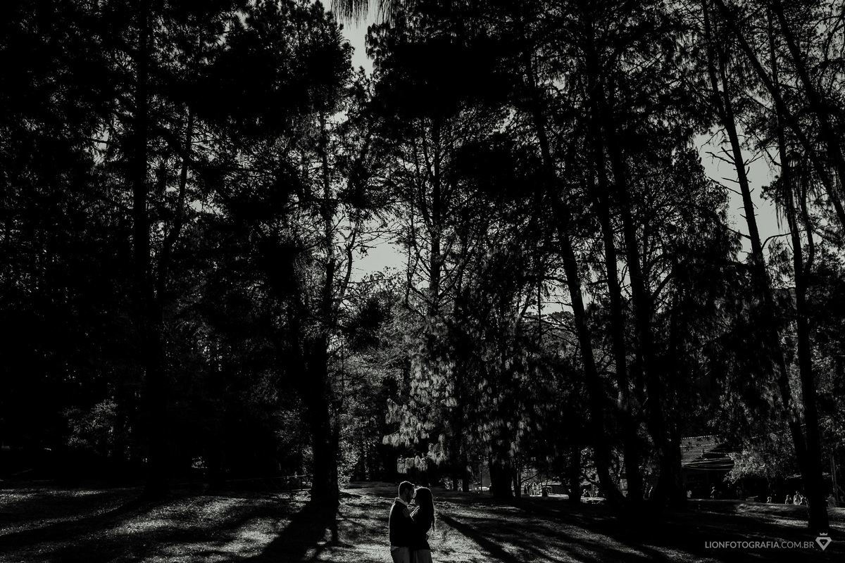 fotografo de casamento melhor fotografo de casamento de são roque são paulo campos do jordão ensaio fotografico granja viana alphaville sorocaba gramado serra gaucha casamento