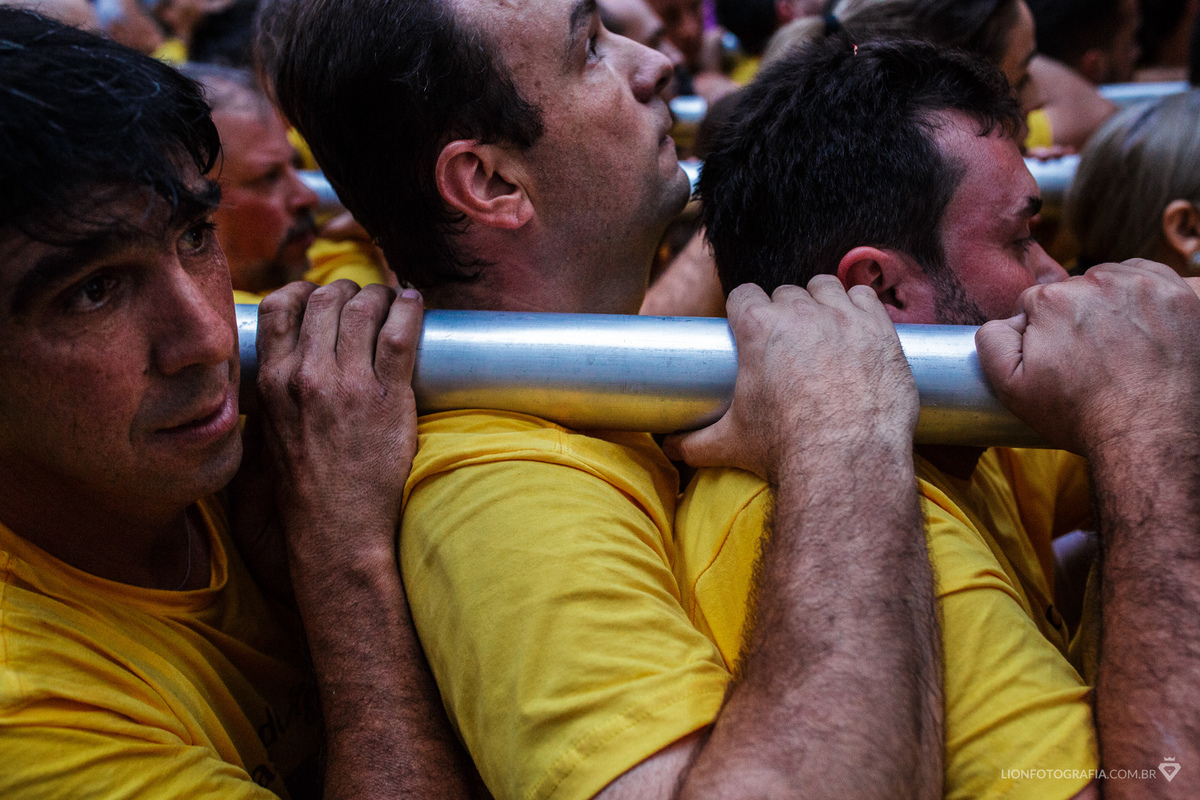 16 de agosto em São Roque Procissão Carros de lenha tradição estância turistica
