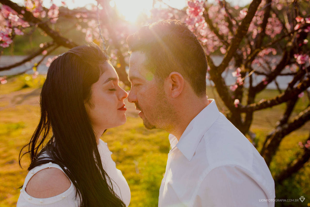 Sessão de fotos de casal pré casamento com vinho e flores Arvore cerejeira mairinque 