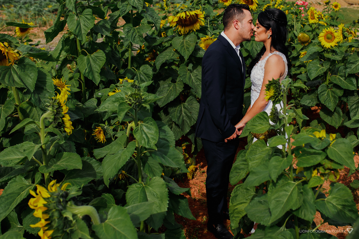 campo de girassóis em são roque casamento no campo decoração de casamento estrada do vinho