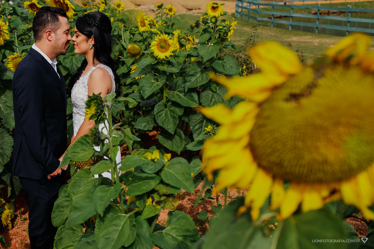 campo de girassóis em são roque casamento no campo decoração de casamento estrada do vinho