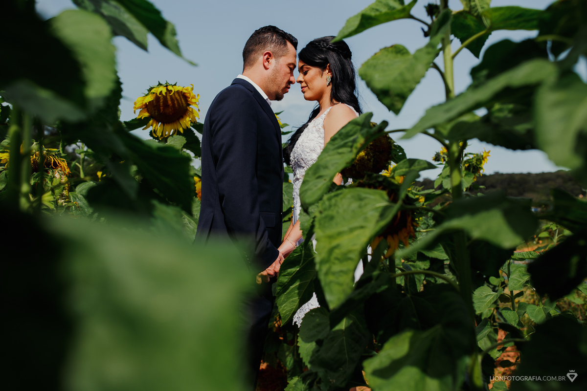 campo de girassóis em são roque casamento no campo decoração de casamento estrada do vinho
