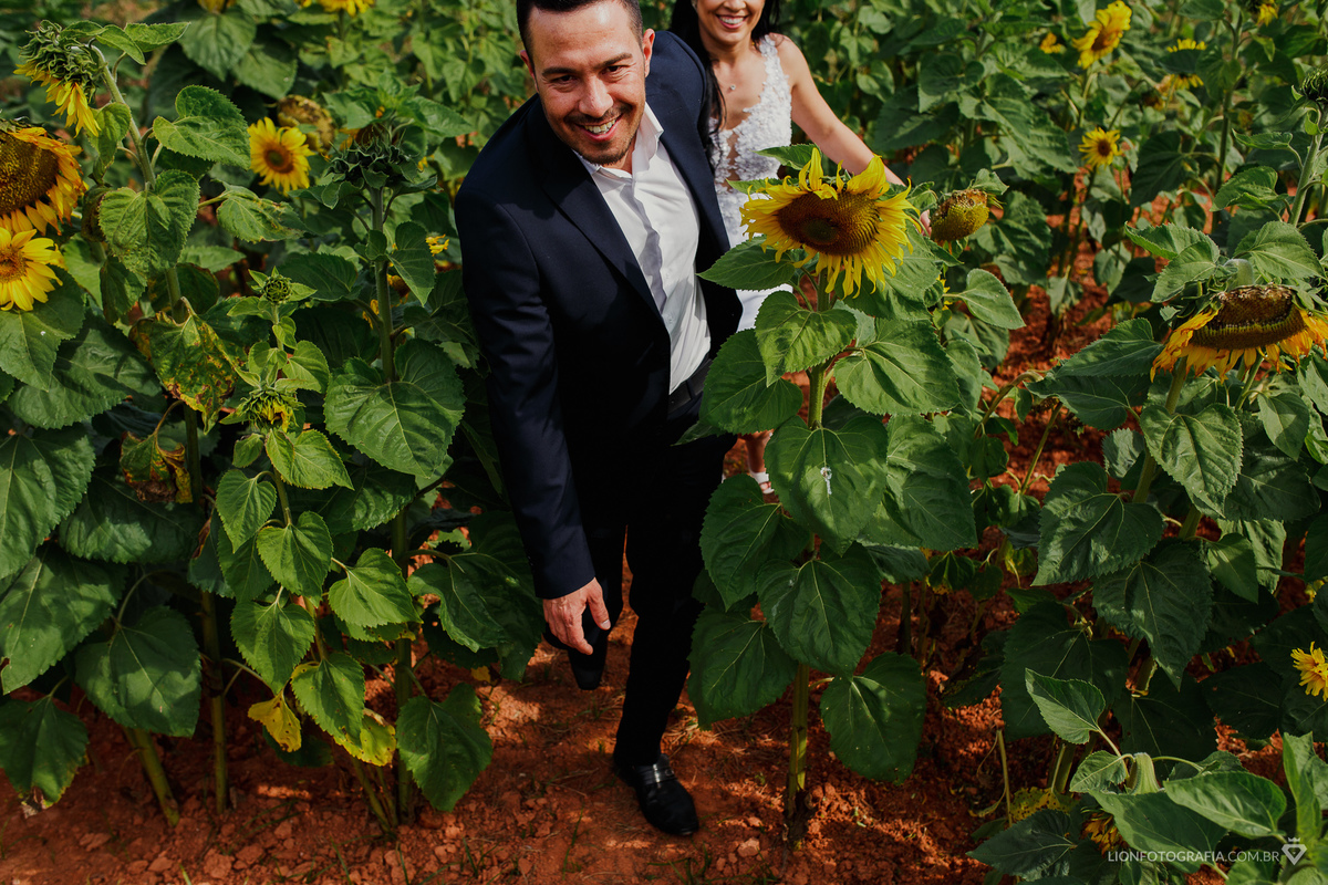 campo de girassóis em são roque casamento no campo decoração de casamento estrada do vinho