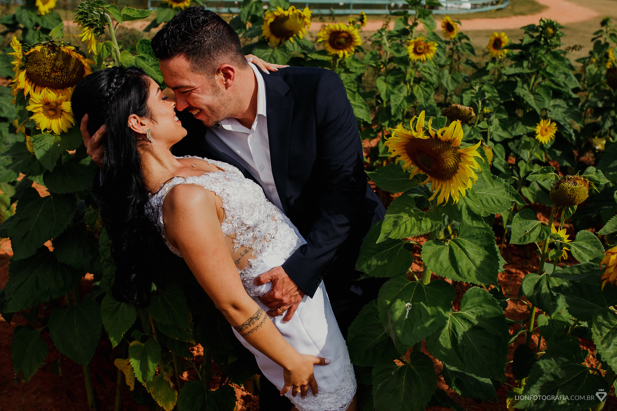 campo de girassóis em são roque casamento no campo decoração de casamento estrada do vinho