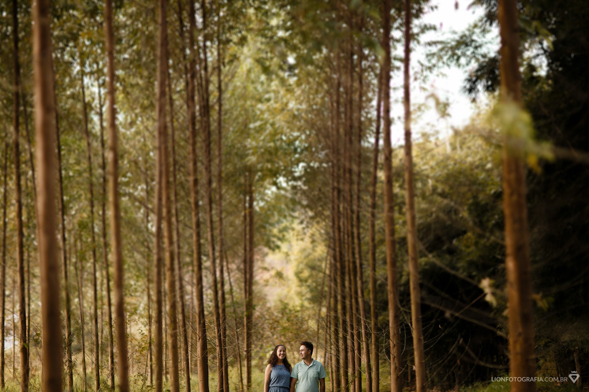 arvores ensaio de casal prewedding são roque fazenda sitio