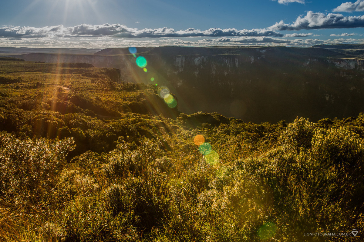 canela gramado serra gaucha prewedding cambara do sul casal ensaio lion rio grande do sul santa catarina