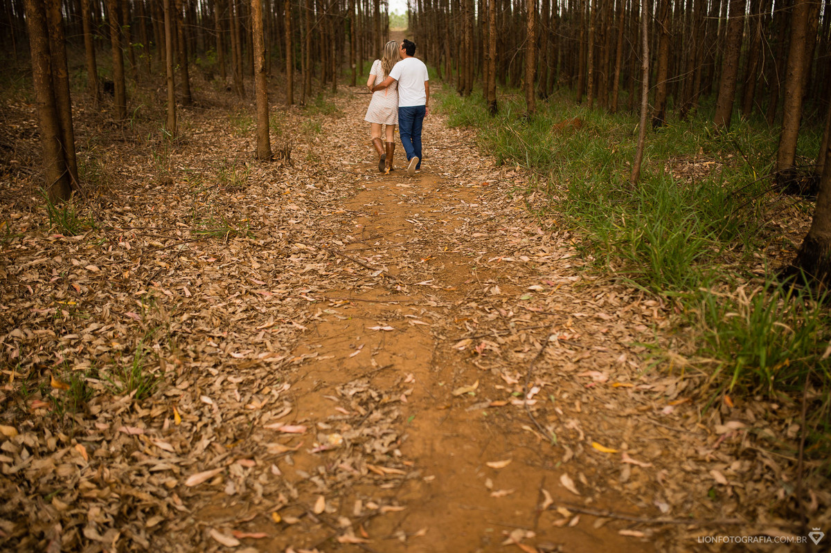 prewedding sorocaba casal sessão de fotos Araçoiaba arvores outono session day casamento lion fotografia