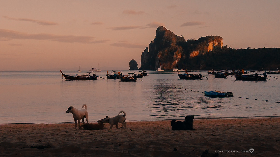 tailandia trip viagem phiphi thailand lua de mel sessão de fotos