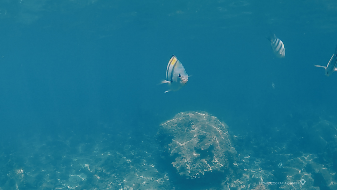 tailandia trip viagem phiphi thailand lua de mel sessão de fotos