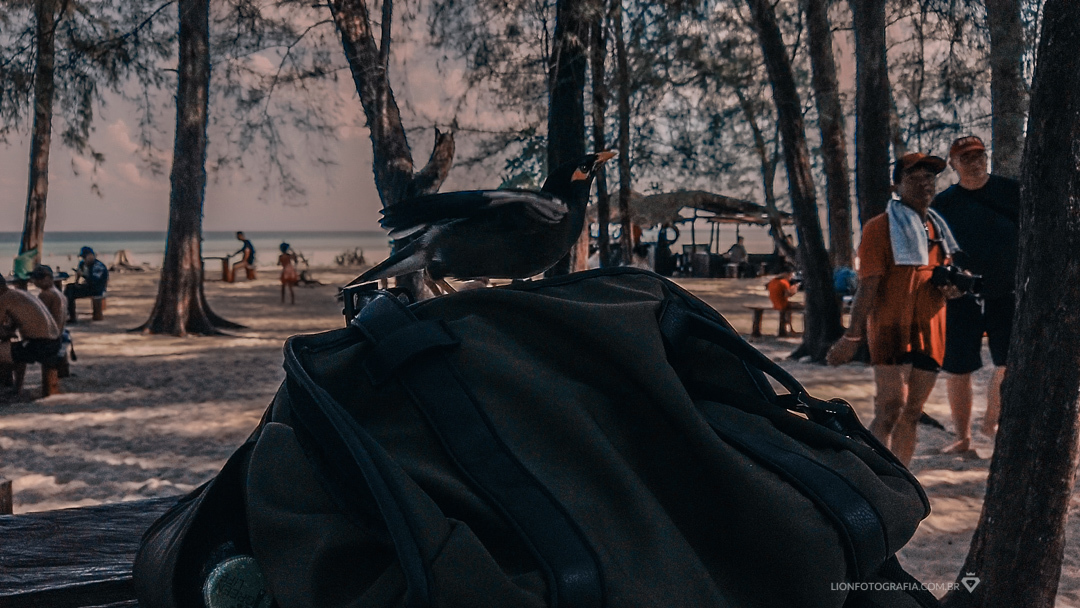 tailandia trip viagem phiphi thailand lua de mel sessão de fotos