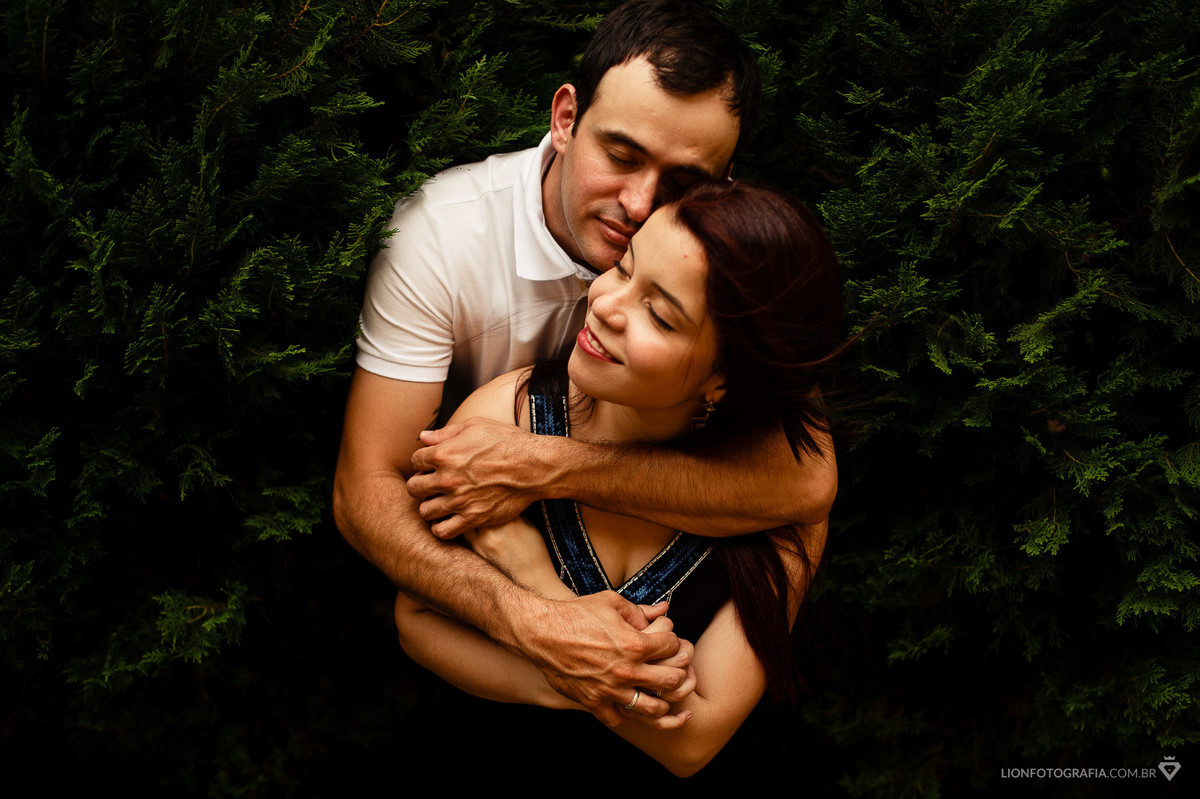 os arbustos e as cores deixaram a foto ainda mais calorosa